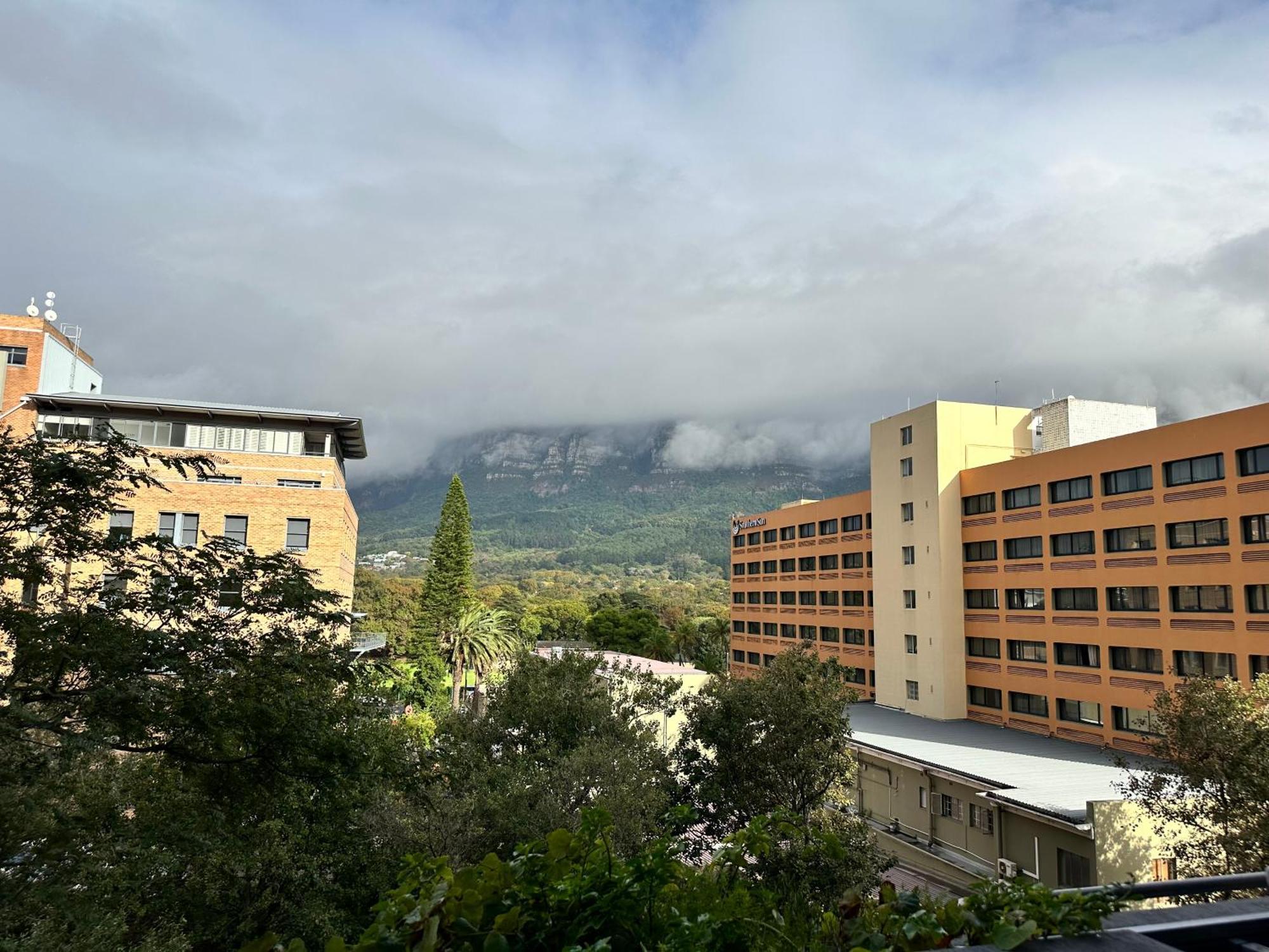 Newlands Peak Apartments Cape Town Ngoại thất bức ảnh